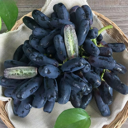 🔥Last Day 50% OFF 🍇 High-Quaility Sapphire Grapes Seeds🍇✨ 98% Germination（High Yield）100 Grams Organic Pot Mix Free