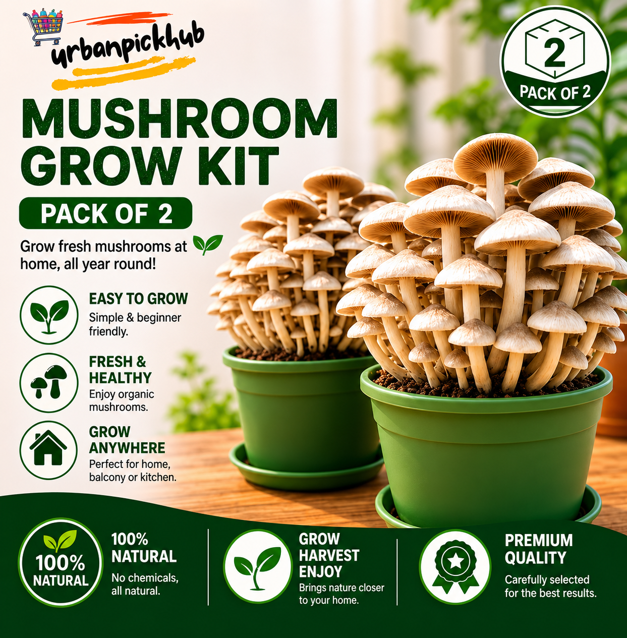 🥳2026 hot sale🥳💞50k+ sold!✨premium organic mushroom harvest grow kit seeds – buy 1 get 1 free special pack