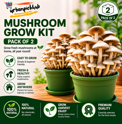 🥳2026 HOT SALE🥳💞50K+ SOLD!✨Premium Organic Mushroom Harvest Grow Kit Seeds – Buy 1 Get 1 Free Special Pack