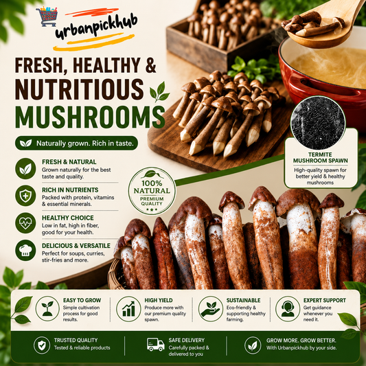 🥳2026 HOT SALE🥳💞50K+ SOLD!✨Premium Organic Mushroom Harvest Grow Kit Seeds – Buy 1 Get 1 Free Special Pack