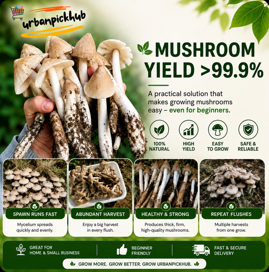 🥳2026 HOT SALE🥳💞50K+ SOLD!✨Premium Organic Mushroom Harvest Grow Kit Seeds – Buy 1 Get 1 Free Special Pack