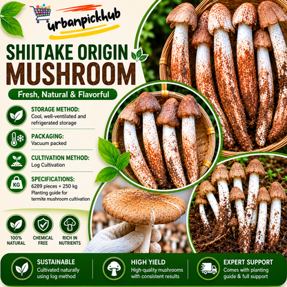 🥳2026 HOT SALE🥳💞50K+ SOLD!✨Premium Organic Mushroom Harvest Grow Kit Seeds – Buy 1 Get 1 Free Special Pack