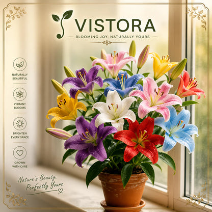 🌺COLORFUL PERFUME LILY BULBS—FRESH AND SWEET | 🔥Buy 4 Get 4 Free Bulbs🔥