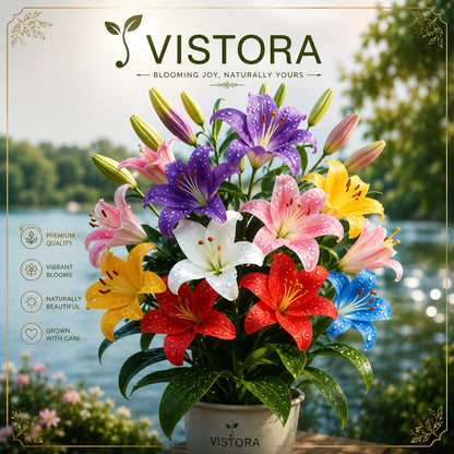🌺COLORFUL PERFUME LILY BULBS—FRESH AND SWEET | 🔥Buy 4 Get 4 Free Bulbs🔥