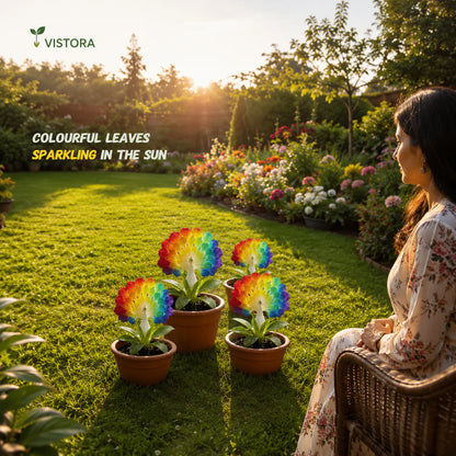 💠 “THE QUEEN OF FRAGRANT BLOOMS — PEACOCK ORCHID BULBS FOR PURE GARDEN LUXURY”🌸Buy 4 Get 4 Free Bulbs🌸