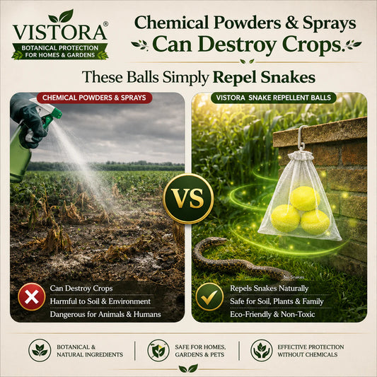 🥰HOT SALE 50% OFF🥰 🐍Snake Repellent Balls🐍 - Advanced Herbal Shield Protection✨Buy 1 Get 1 Free✨