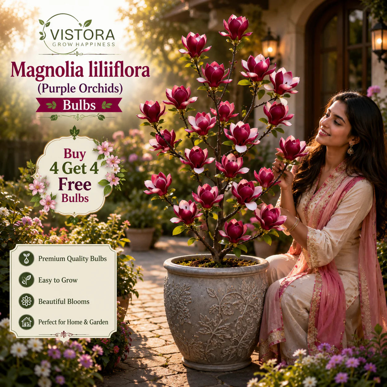 magnolia liliiflora (purple orchids) bulbs 🌸 flowers hide the leaves, fragrance fills the air🌸buy 4 get 4 free bulbs🌸