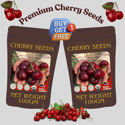 ✨Top Grade & Productive – Chilean Cherry Seeds Direct from Origin🌱Free 100 grams Organic Pot mix 🌱