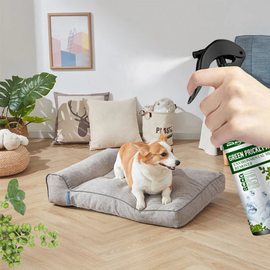 🔥 BUY 1 GET 1 FREE! 🔥Powerful Mite Remover Spray🔥