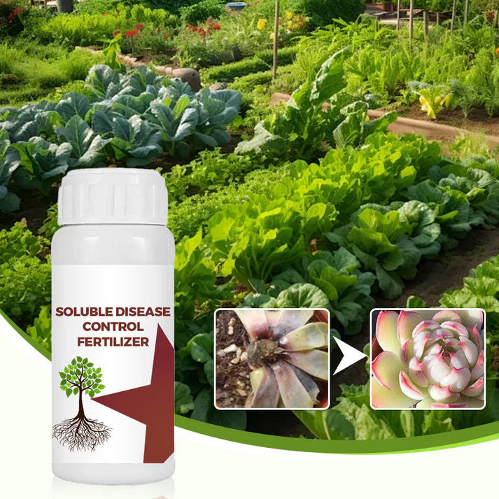 🔥hot sale 50% off🔥soluble disease control fertilizer🔥 buy 1 get 1 free! 🔥