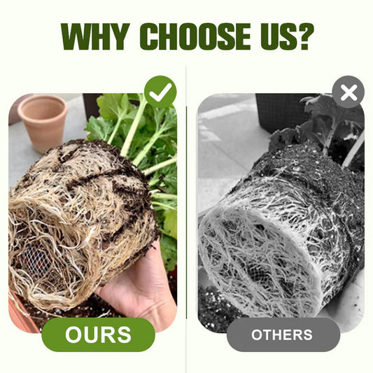 🔥Hot Sale 50% Off🔥Soluble Disease Control Fertilizer🔥 BUY 1 GET 1 FREE! 🔥