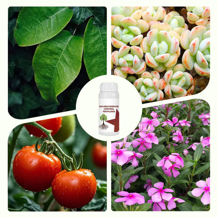🔥hot sale 50% off🔥soluble disease control fertilizer🔥 buy 1 get 1 free! 🔥