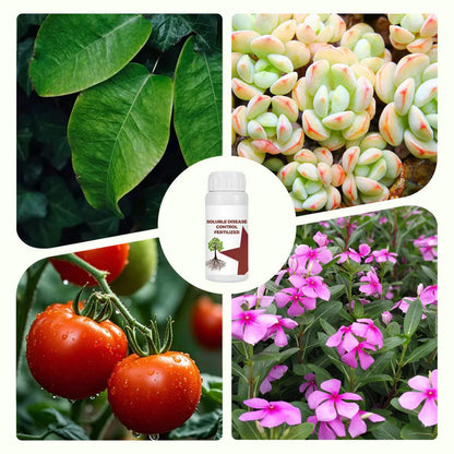 🔥Hot Sale 50% Off🔥Soluble Disease Control Fertilizer🔥 BUY 1 GET 1 FREE! 🔥
